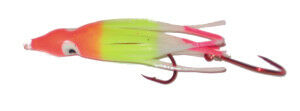 Double Glow Rainbow Signature Squid