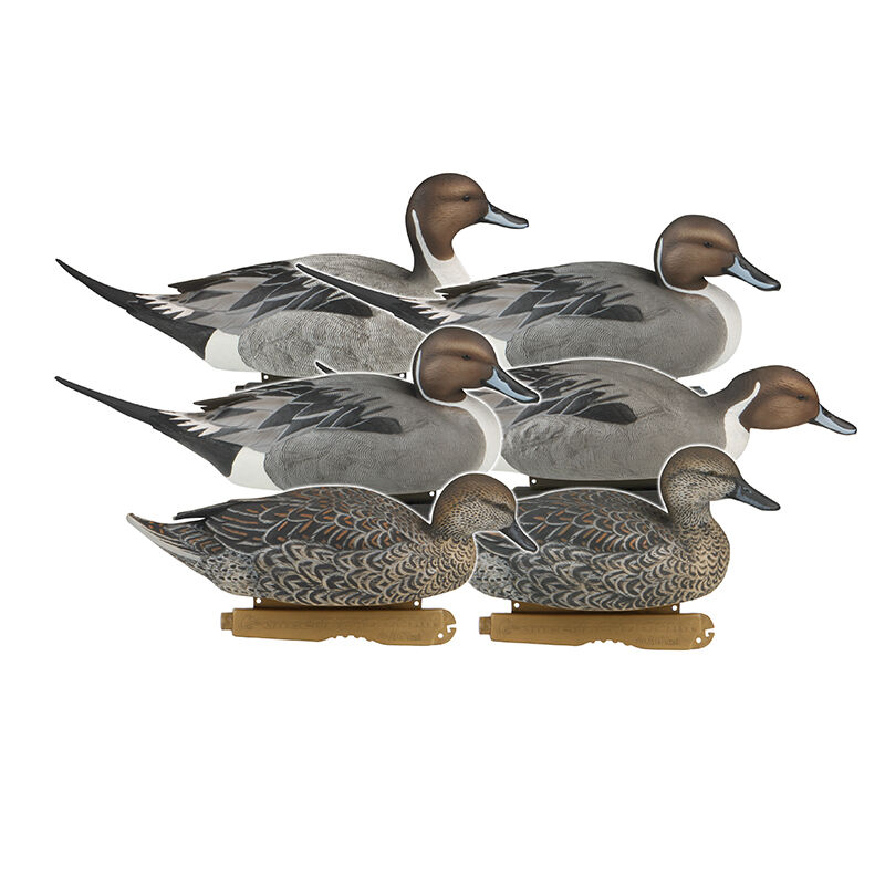 Pro-Grade Pintails