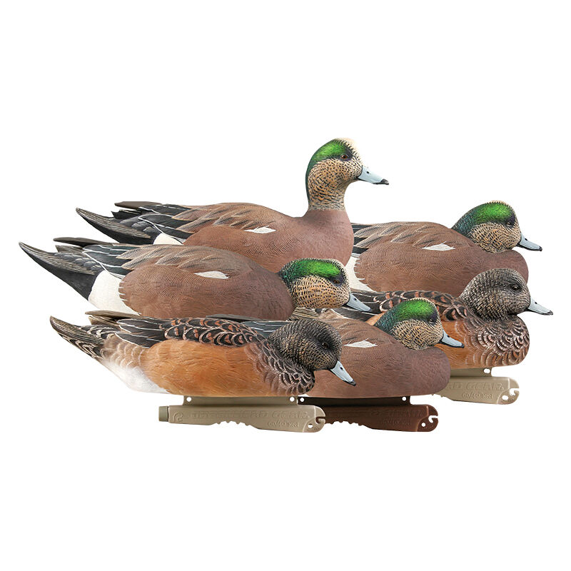 Pro-Grade Wigeons