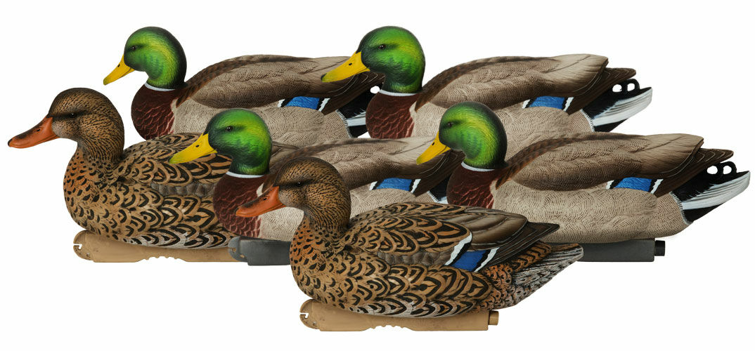 Pro-Grade XD Series Mallards-Active Pack