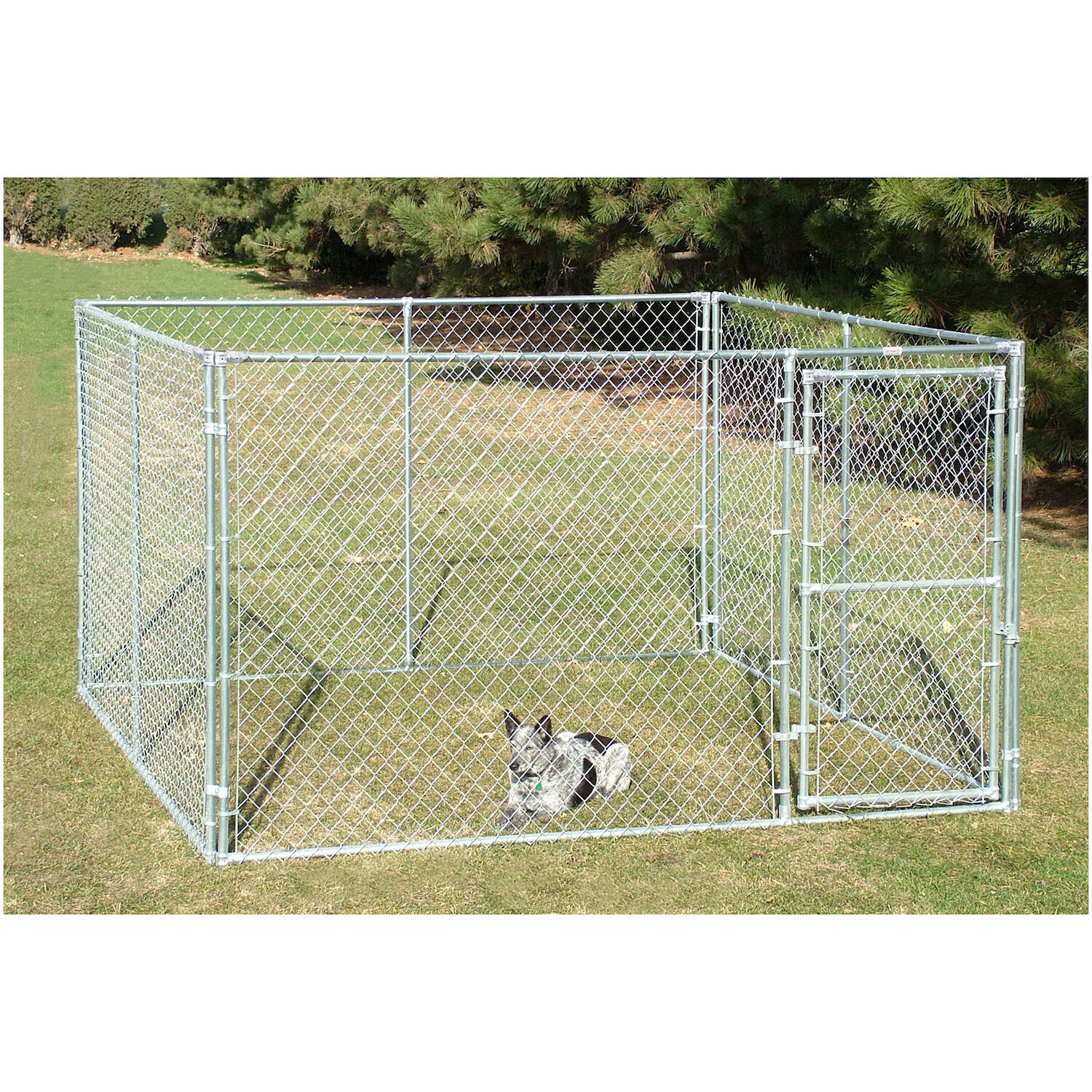 10 x 10 x 6 Complete Kennel